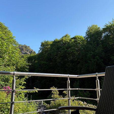 Villa Amselgrund 쿠로르트라텐 외부 사진